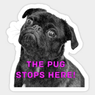 The Pug stops here! Sticker